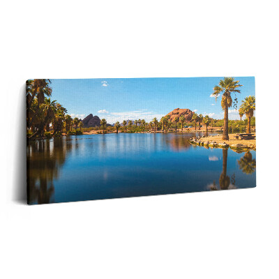 Vászonfotó 100x50 A Papago park tájképe