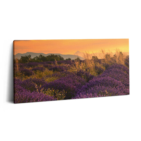 Vászonfotó 100x50 Levendula rét Provence Franciaország