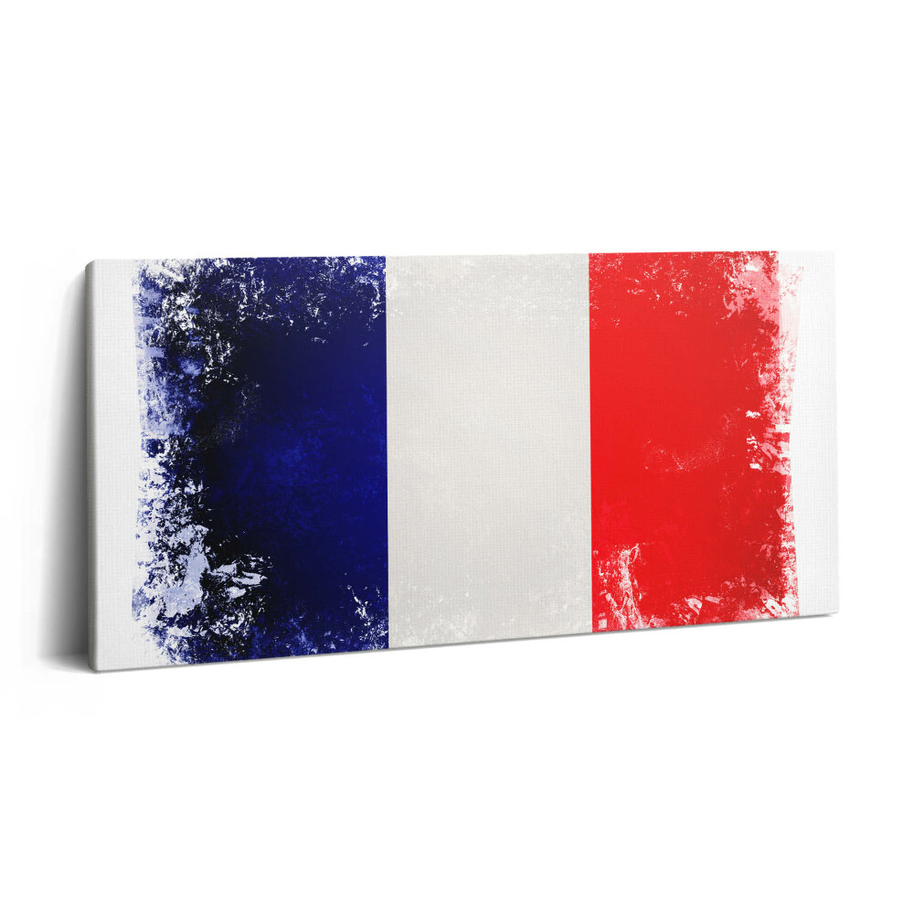 Vászonfotó 100x50 Francia zászló