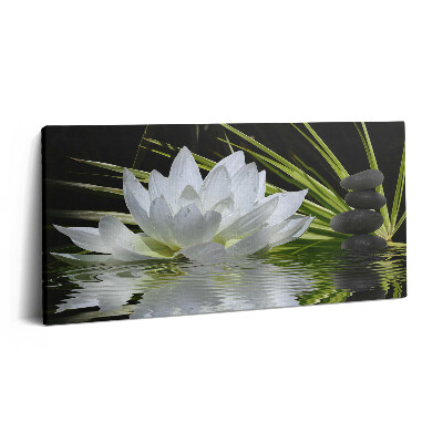 Vászonfotó 100x50 Tavirózsa és levelek