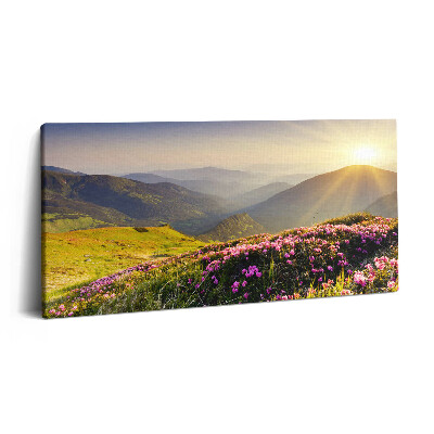 Vászonkép nyomtatás 120x60 Hegyek és egy virágos rét