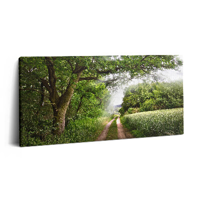 Vászonkép nyomtatás 120x60 Ösvényfák és napsütés
