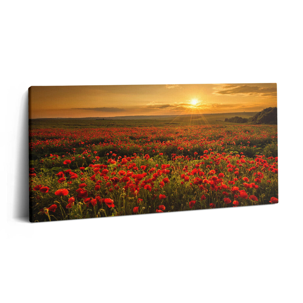 Vászonkép nyomtatás 120x60 Tájkép egy tisztáson pipacsokkal