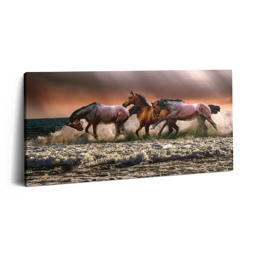 Vászonkép nyomtatás 120x60 Vízbe bukott lovak