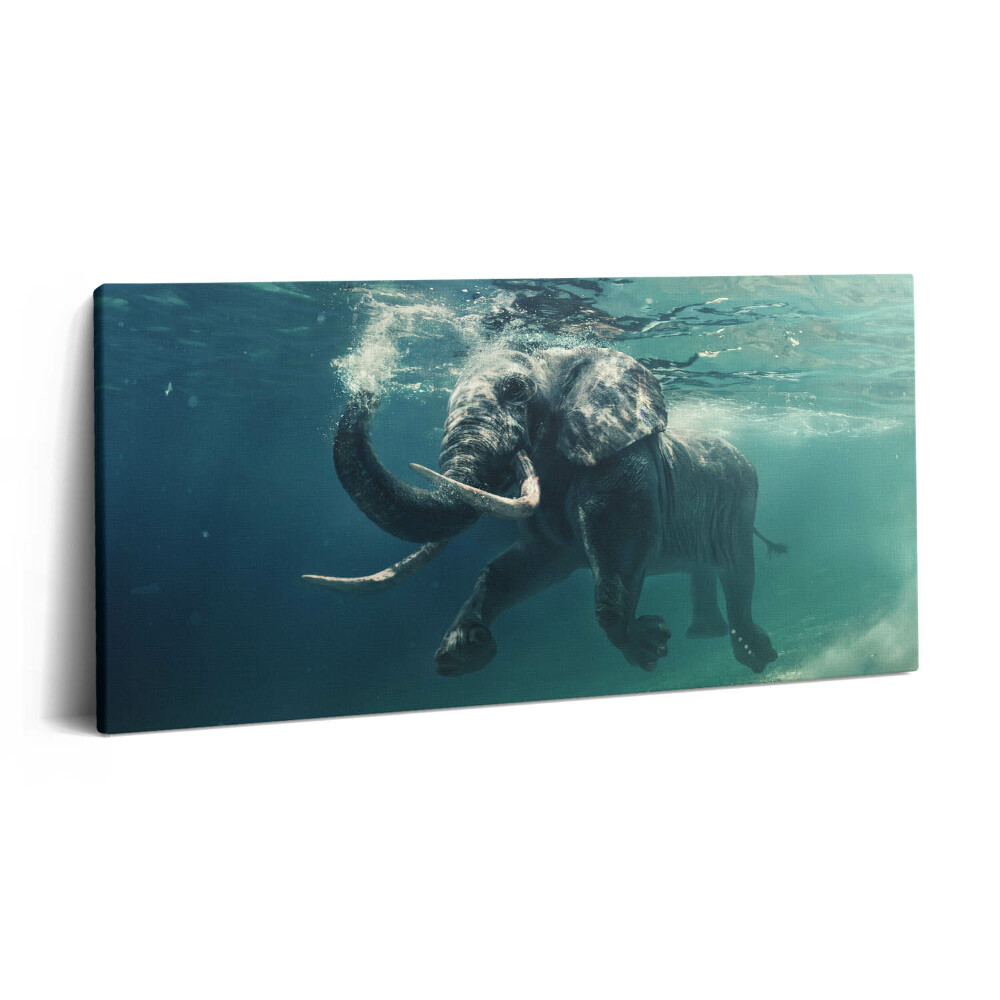 Vászonkép nyomtatás 120x60 Afrikai elefánt a vízben