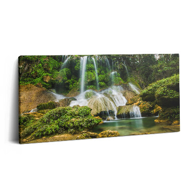 Vászonkép nyomtatás 120x60 Vad természetes vízesés