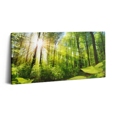 Vászonkép nyomtatás 120x60 Napsütés az erdőben