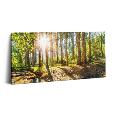 Vászonkép nyomtatás 120x60 Nap a fák mögött az erdőben