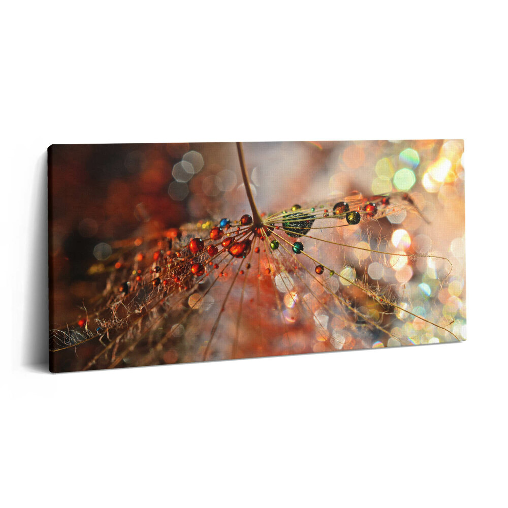 Vászonkép nyomtatás 120x60 Pitypang és harmat