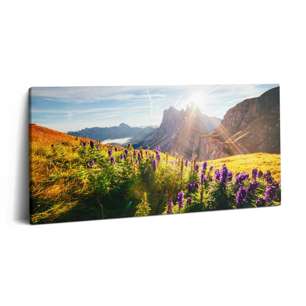 Vászonkép nyomtatás 120x60 A Dolomitok tájképe