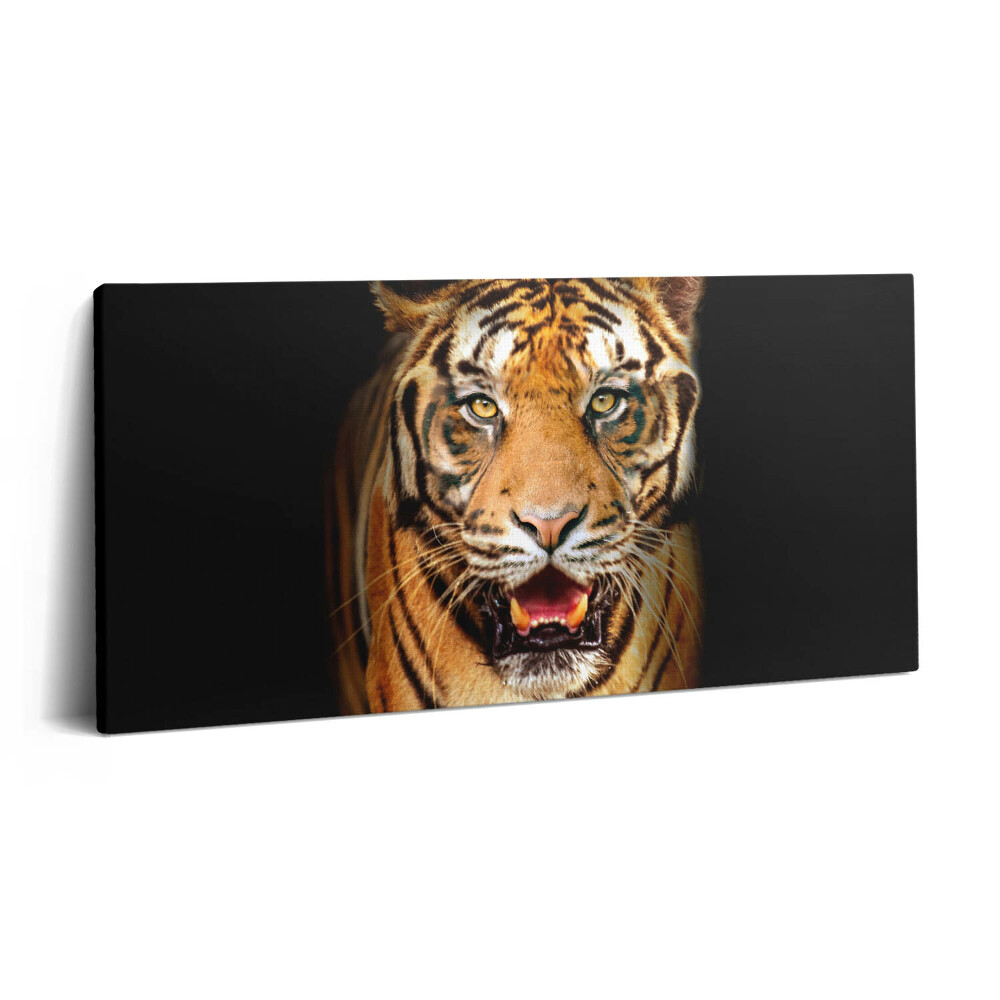 Vászonkép nyomtatás 120x60 Kifejező vad tigris macska