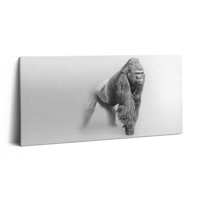 Vászonkép nyomtatás 120x60 Vadon élő állatok gyűjteménye