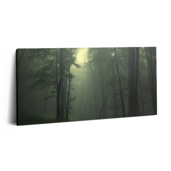 Vászonkép nyomtatás 120x60 Ködös erdő reggel