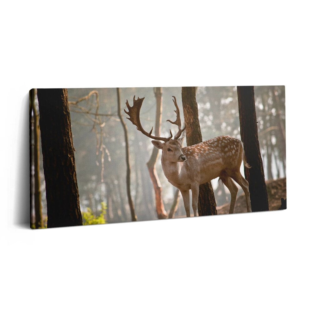 Vászonkép nyomtatás 120x60 Szarvas a felkelő nap fényében