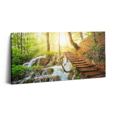 Vászonkép nyomtatás 120x60 Patak és lépcső az erdőben