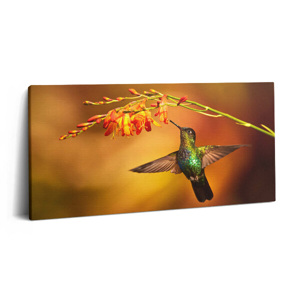 Vászonkép nyomtatás 120x60 Kolibri
