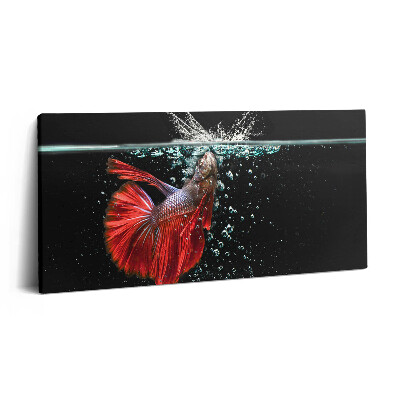 Vászonkép nyomtatás 120x60 Halak egy akváriumban