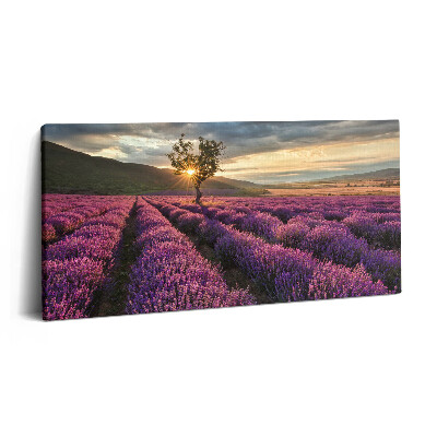 Vászonkép nyomtatás 120x60 Levendulamezős tájkép