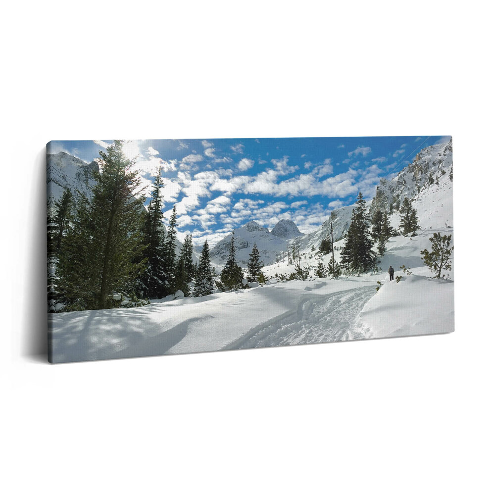 Vászonkép nyomtatás 120x60 Hegyvidéki táj télen