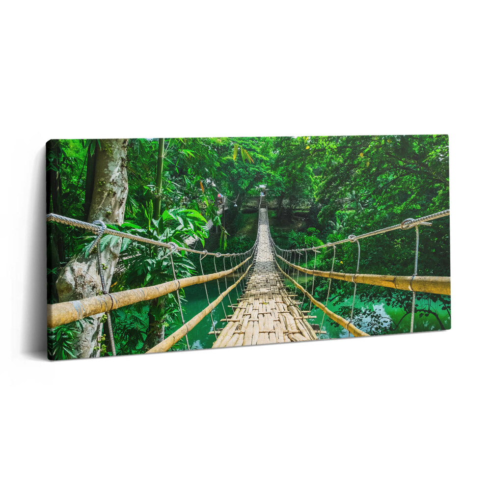 Vászonkép nyomtatás 120x60 Híd az erdőben a Fülöp-szigeteken