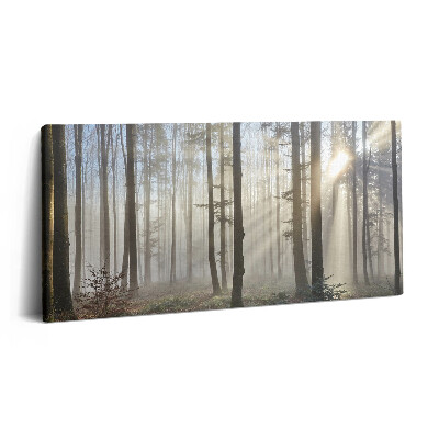 Vászonkép nyomtatás 120x60 Erdő a ködben