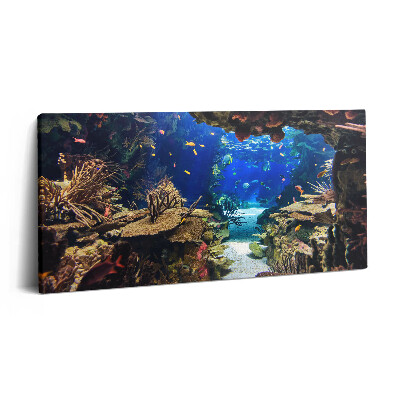 Vászonkép nyomtatás 120x60 Akvárium