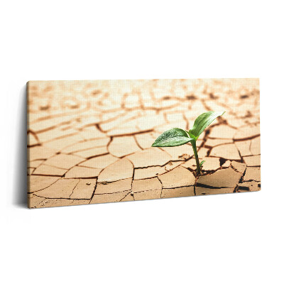 Vászonkép nyomtatás 120x60 Ültetés száraz talajban