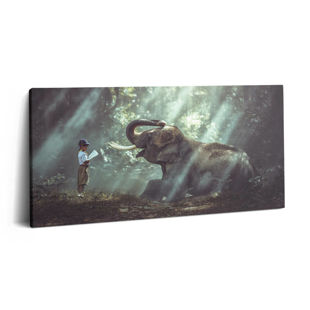 Vászonkép nyomtatás 120x60 Fiú könyvvel