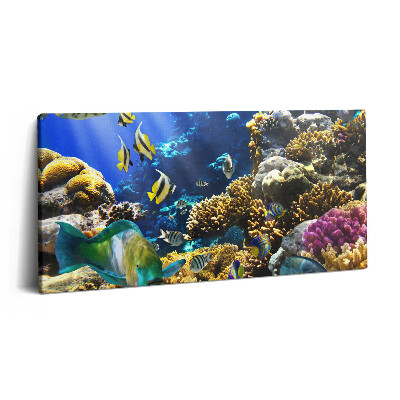 Vászonkép nyomtatás 120x60 Halak képe egy korallzátonyon