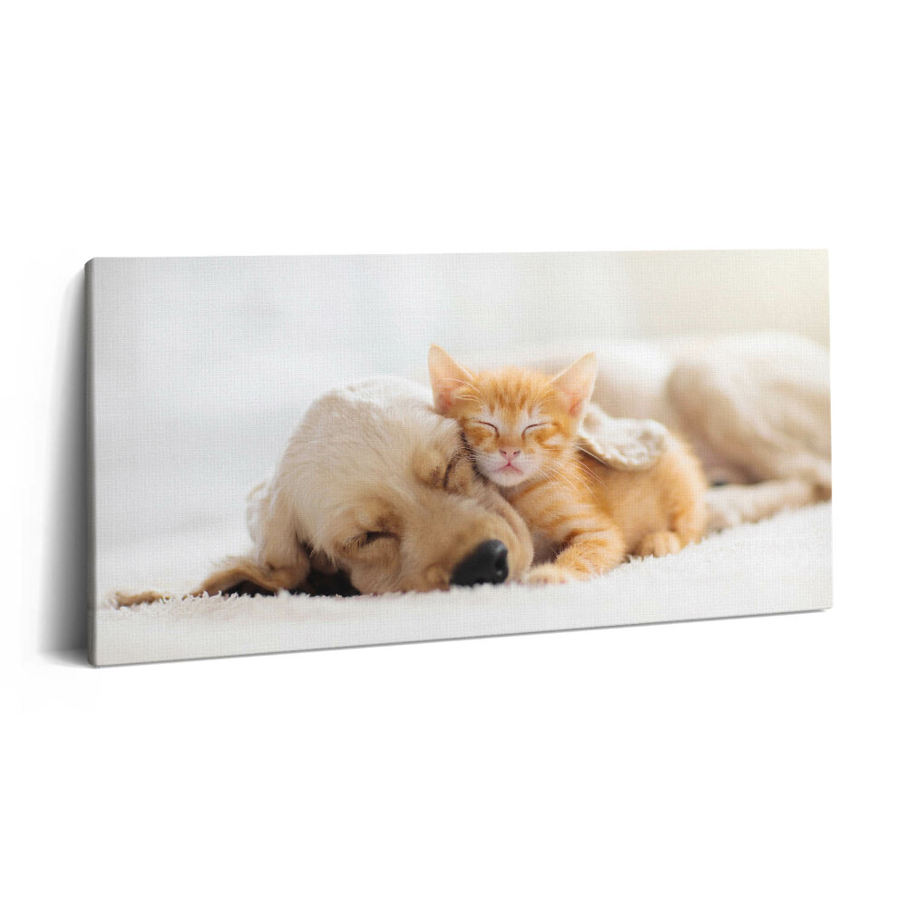 Vászonkép nyomtatás 120x60 Alvó állatok macska és kutya