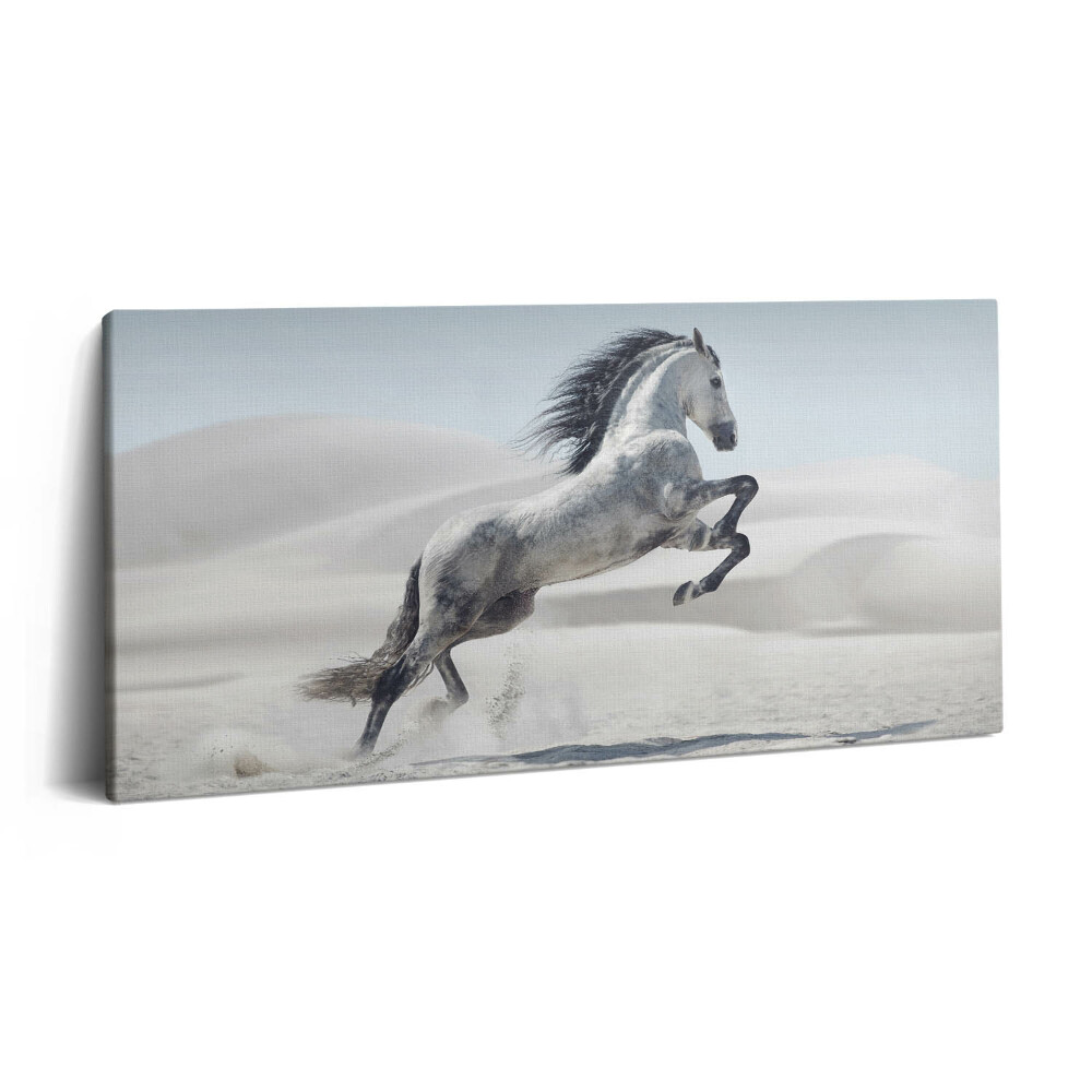 Vászonkép nyomtatás 120x60 Galoppozó fehér ló