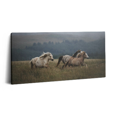 Vászonkép nyomtatás 120x60 Lovak galoppoznak felfelé