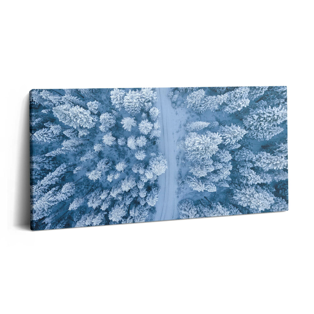 Vászonkép nyomtatás 120x60 Az erdő madártávlatból. Drónok