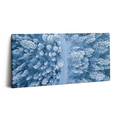 Vászonkép nyomtatás 120x60 Az erdő madártávlatból. Drónok