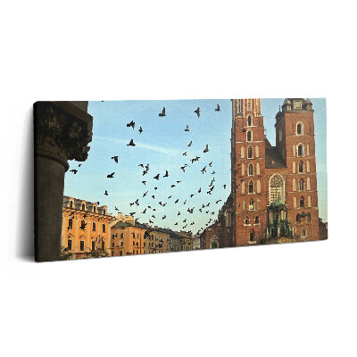 Vászonkép nyomtatás 120x60 Galambok Krakkó városában