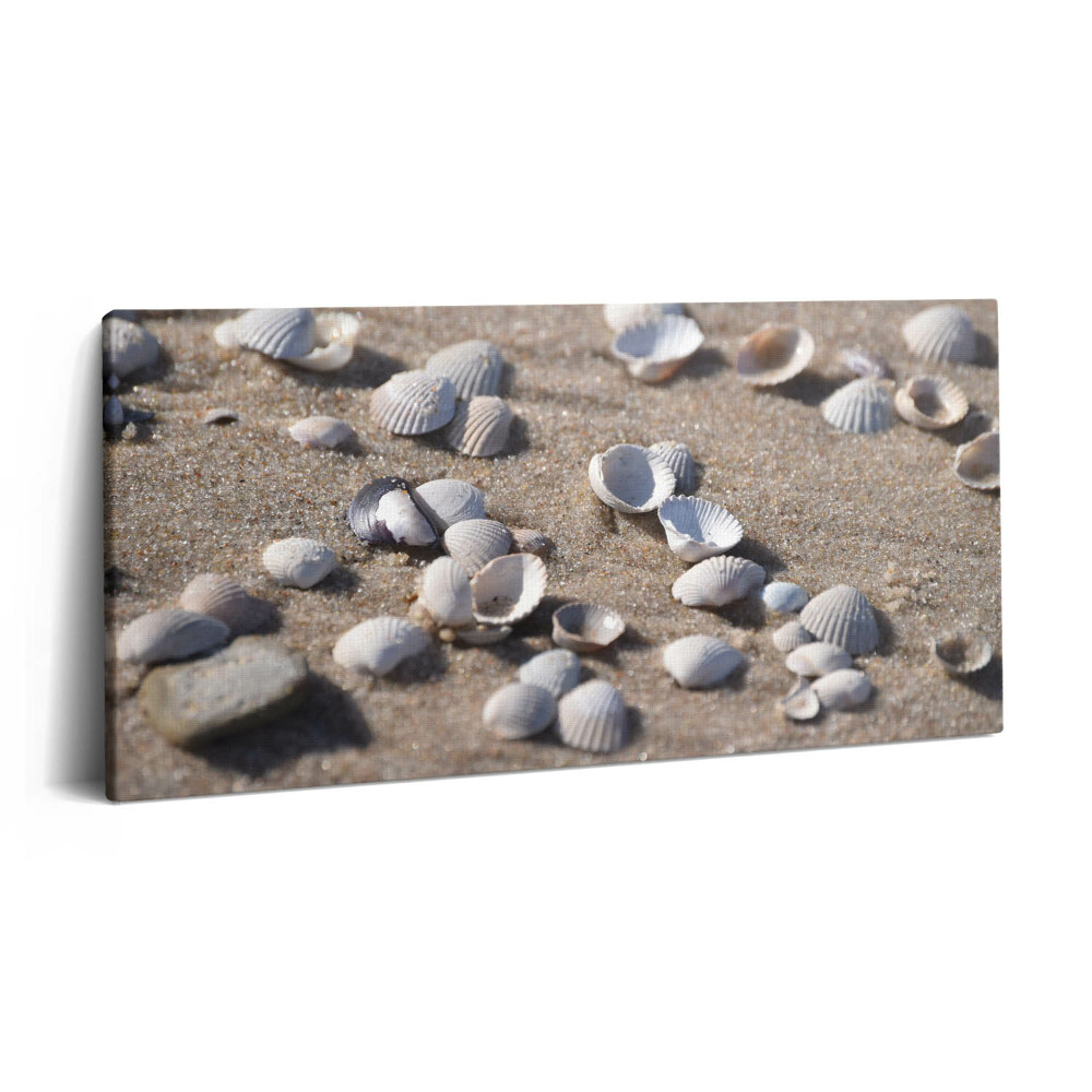 Vászonkép nyomtatás 120x60 Kagylók a tengerparton