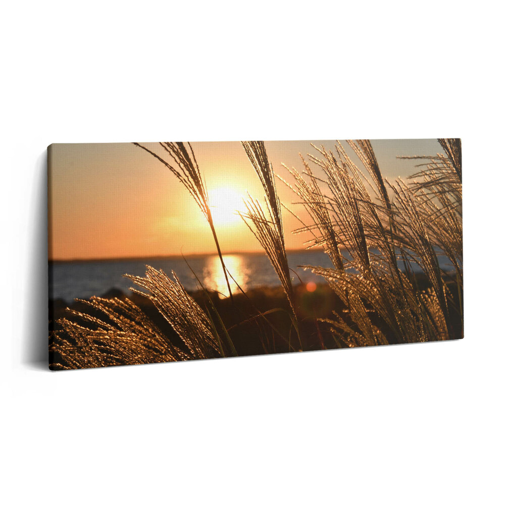Vászonkép nyomtatás 120x60 Búza az arany órában