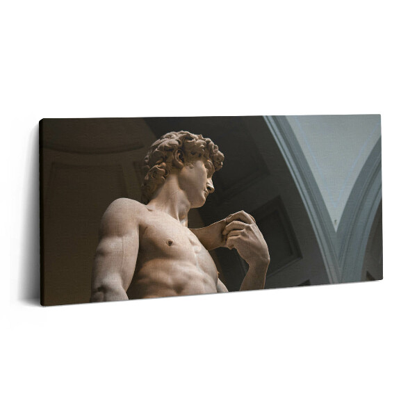 Vászonkép nyomtatás 120x60 Dávid szobra - Michelangelo