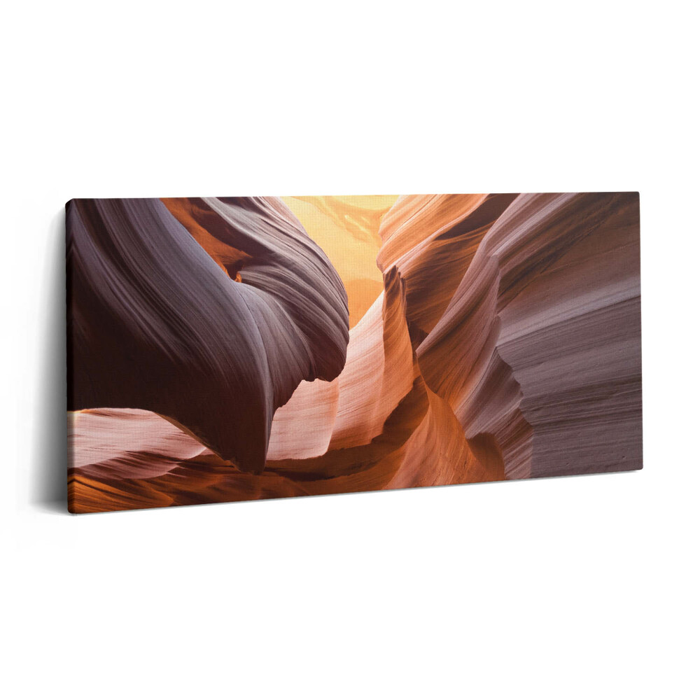 Vászonkép nyomtatás 120x60 Antilop-kanyon