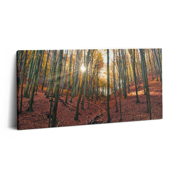 Vászonkép nyomtatás 120x60 Naplemente és fák
