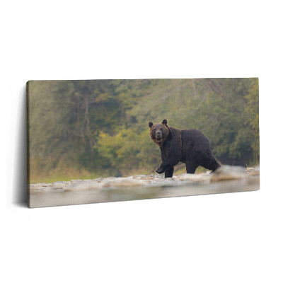 Vászonkép nyomtatás 120x60 Medve a Bieszczady-hegységben