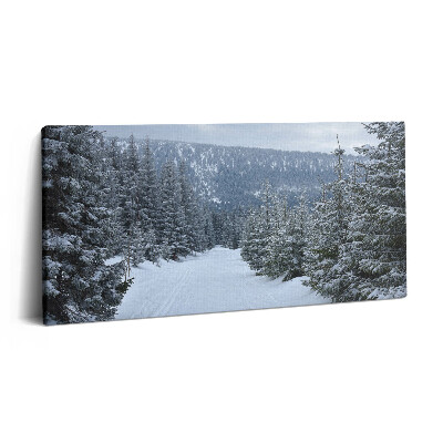 Vászonkép nyomtatás 120x60 Cseh óriás hegyek télen