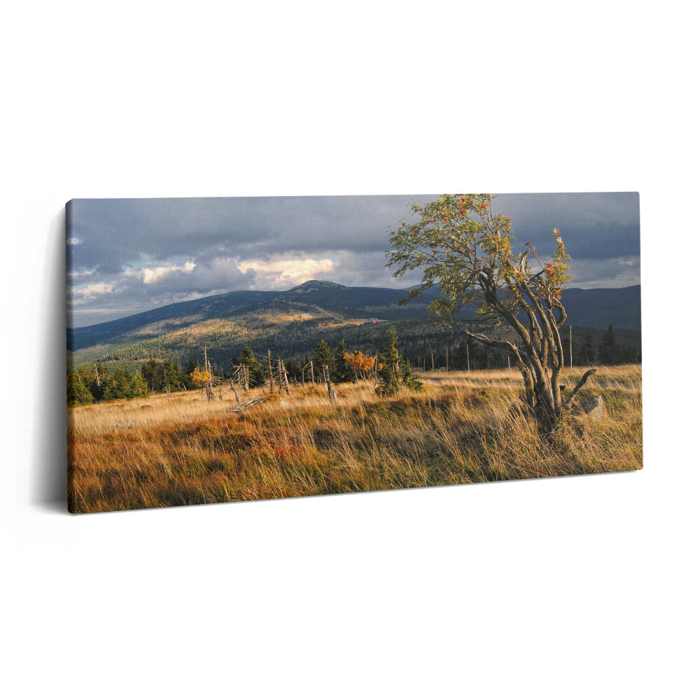 Vászonkép nyomtatás 120x60 Óriási hegyek ősszel