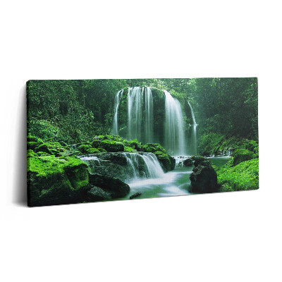 Vászonkép nyomtatás 120x60 Vízesés mohák között