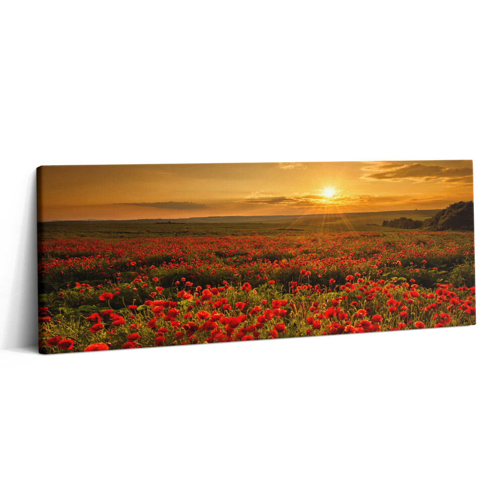 Canvas kép 125x50 Tájkép egy tisztáson pipacsokkal