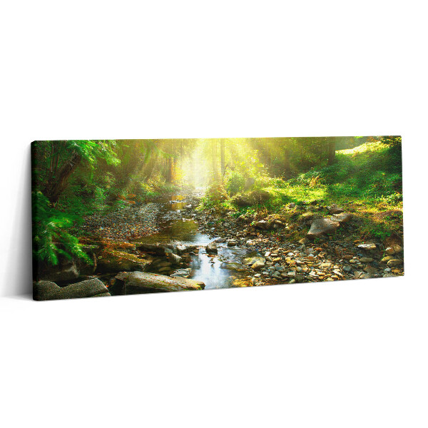 Canvas kép 125x50 Erdei patak a napfényben