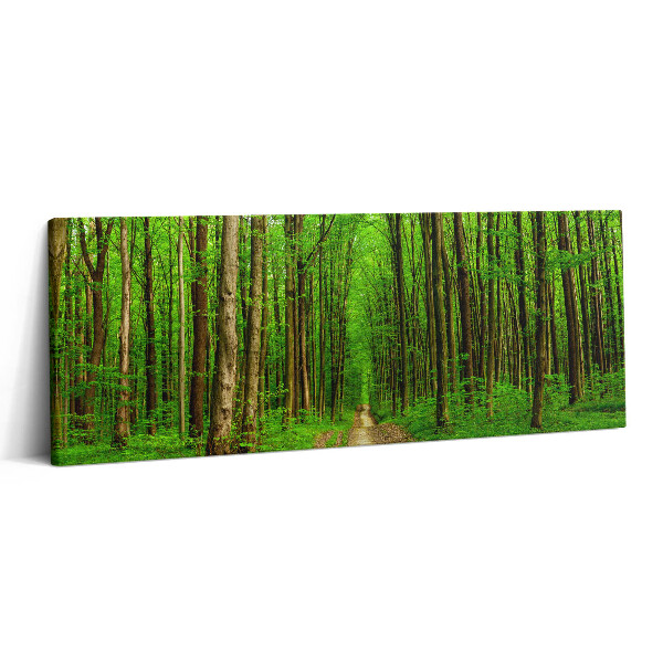 Canvas kép 125x50 Erdei ösvény a fák között