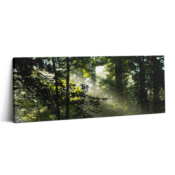 Canvas kép 125x50 Napsugarak és fák