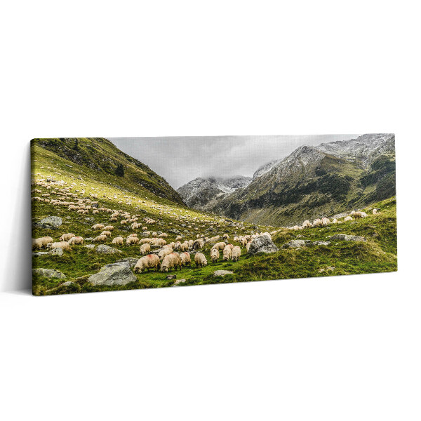Canvas kép 125x50 Birkák a hegyi réten