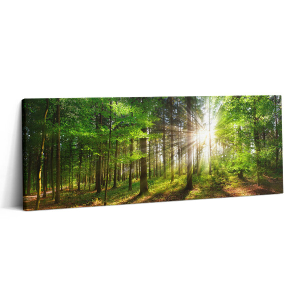 Canvas kép 125x50 Erdő és napfelkelte
